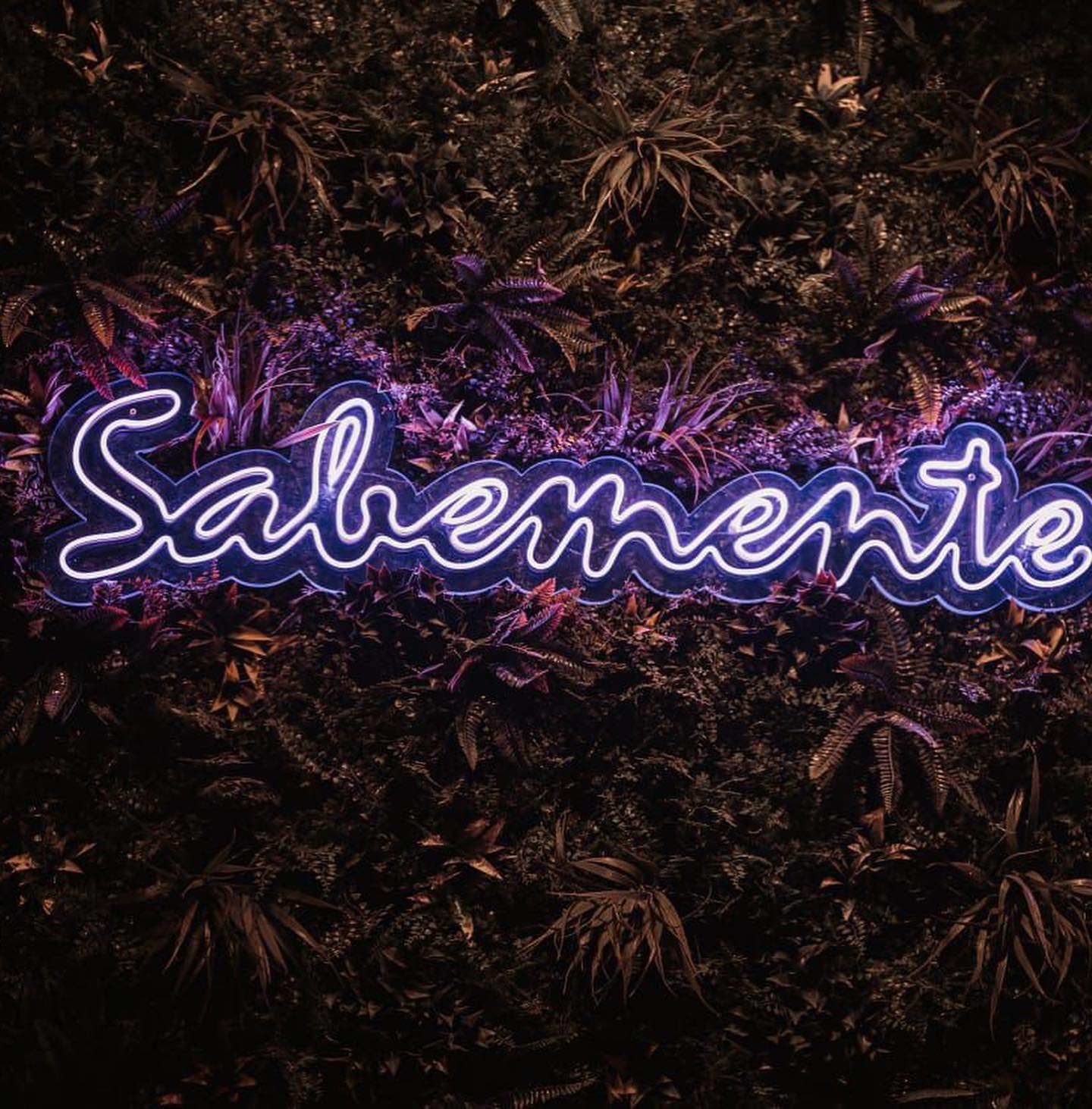 Sabemente – Neonschrift