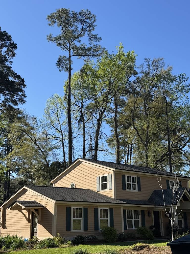 Waters Tree Service, LLC gallery 3