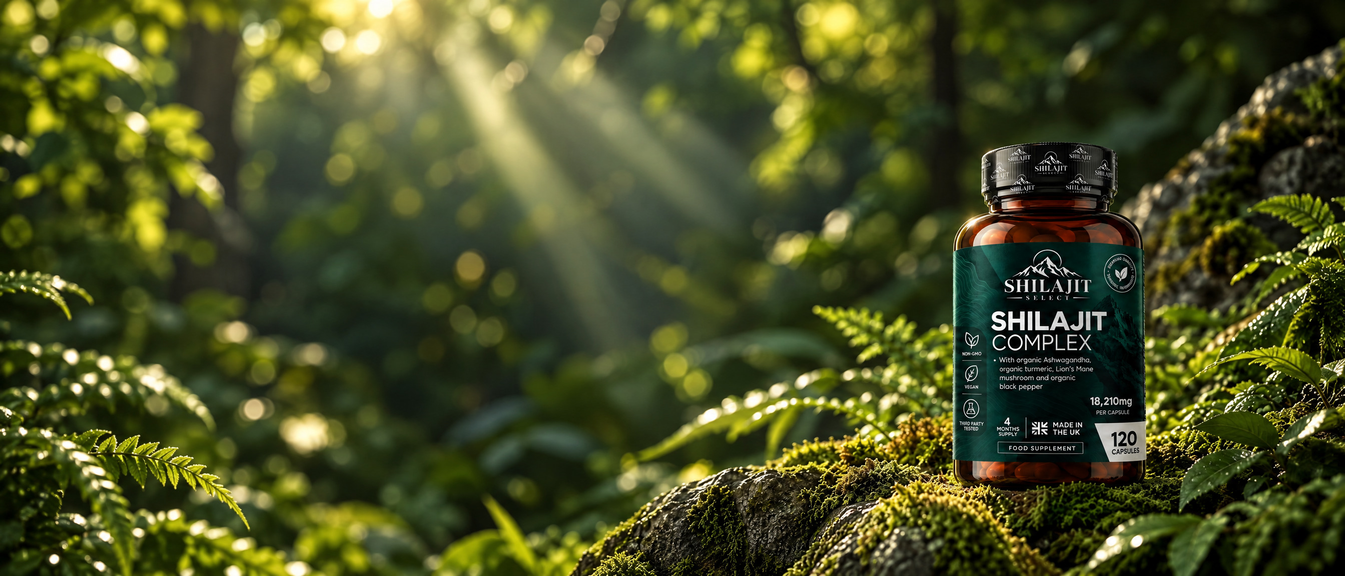 Shilajit Complex op een mosrijke rots in een zonovergoten bos