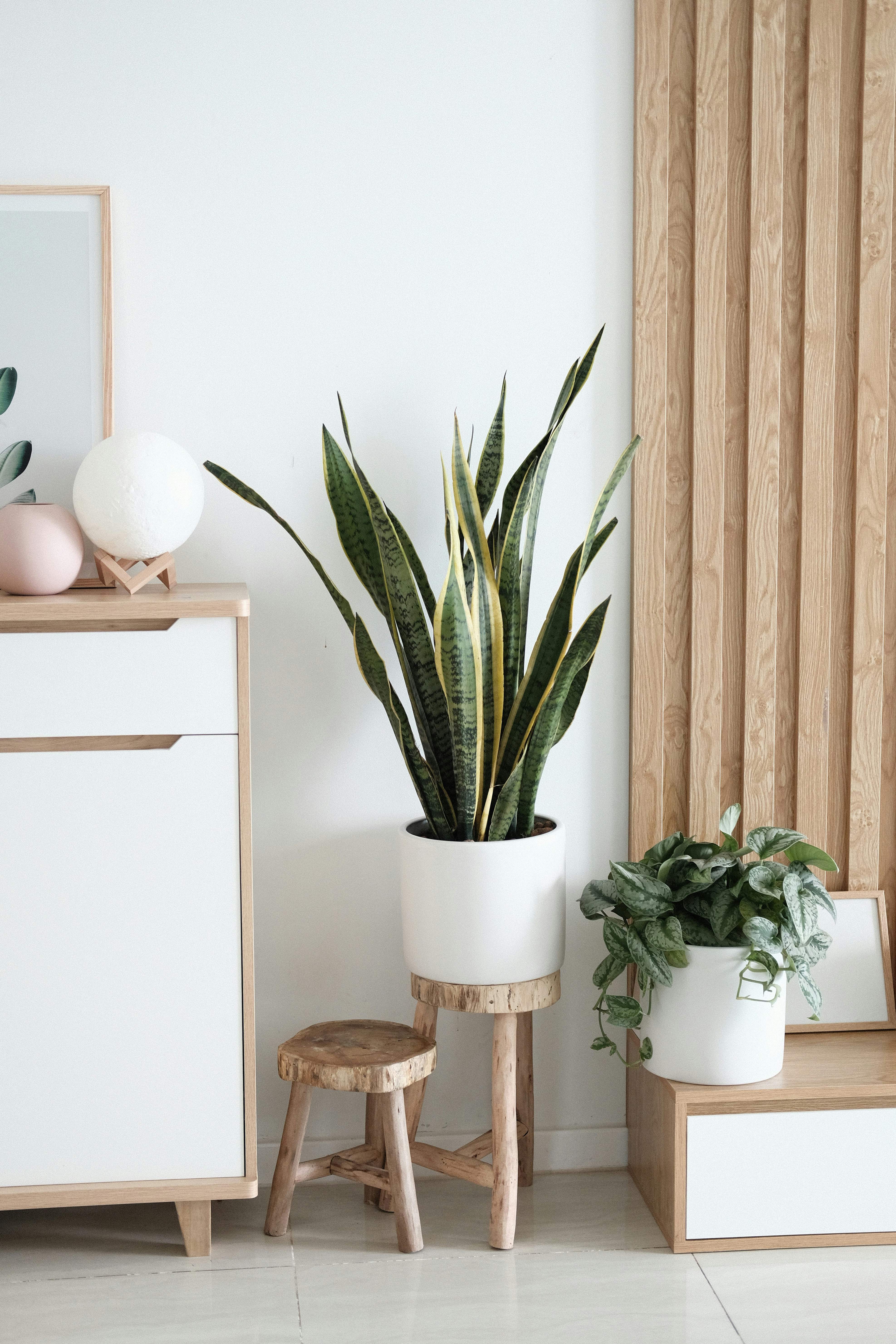 Homewares
