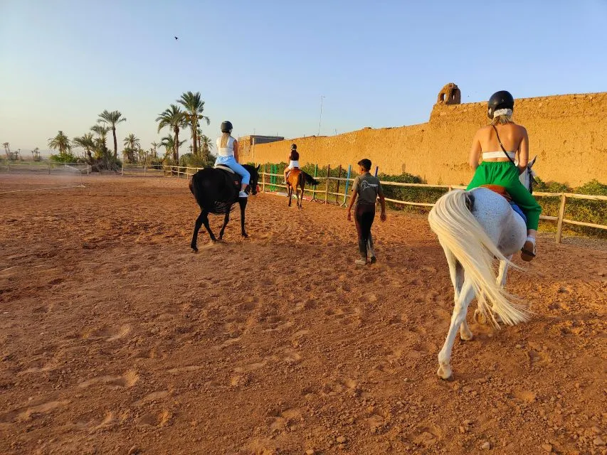 Horse Riding Experience in Marrakech Palmeraie - 2