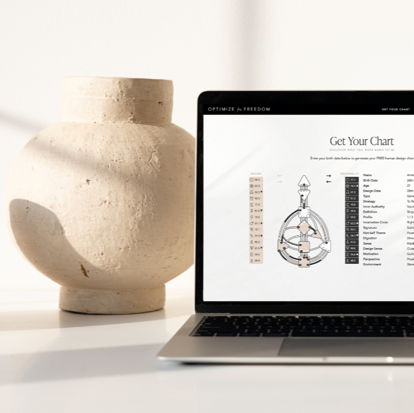 Human design chart setup with vase and laptop