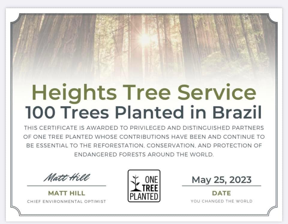 Heights Tree Service environmental certificate - 100 Trees Planted in Brazil