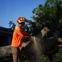 Heights Tree Service professional performing tree trimming with chainsaw