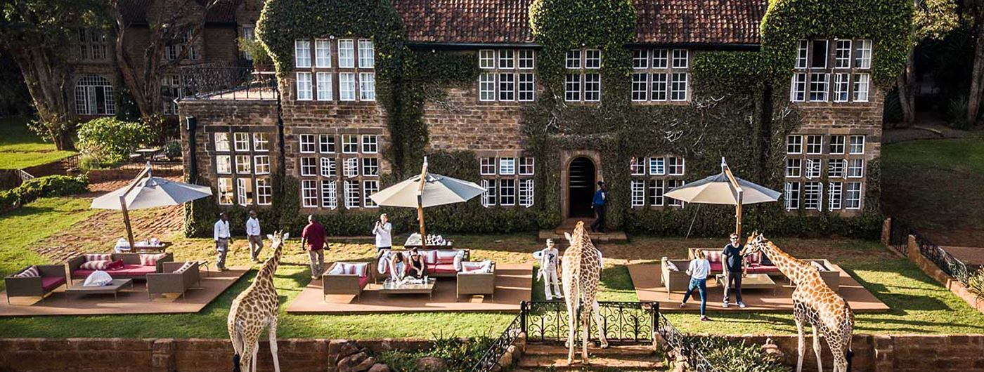 Guests and giraffes enjoying a heritage lodge garden in Kenya