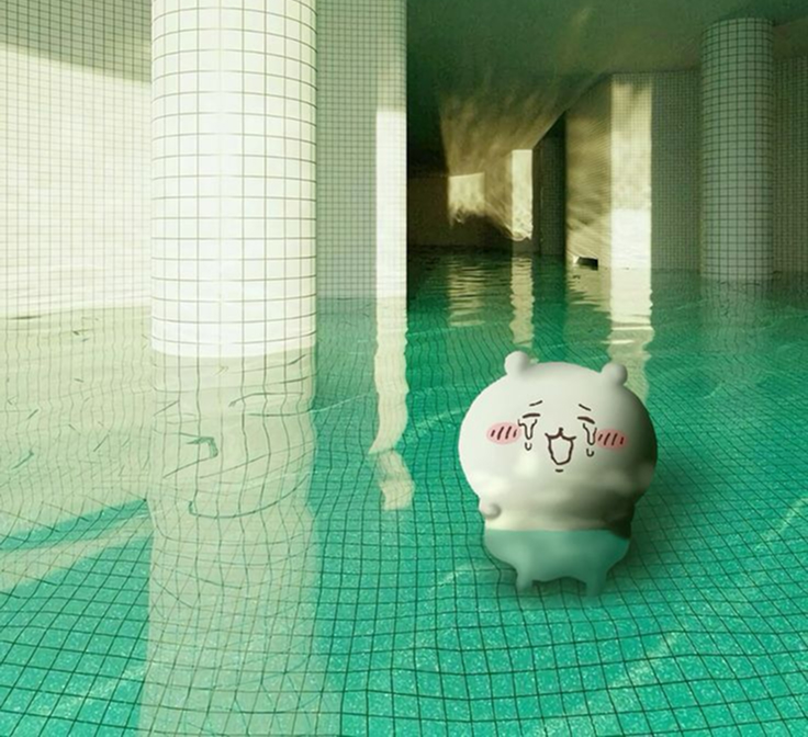 Momonga alone in a pool