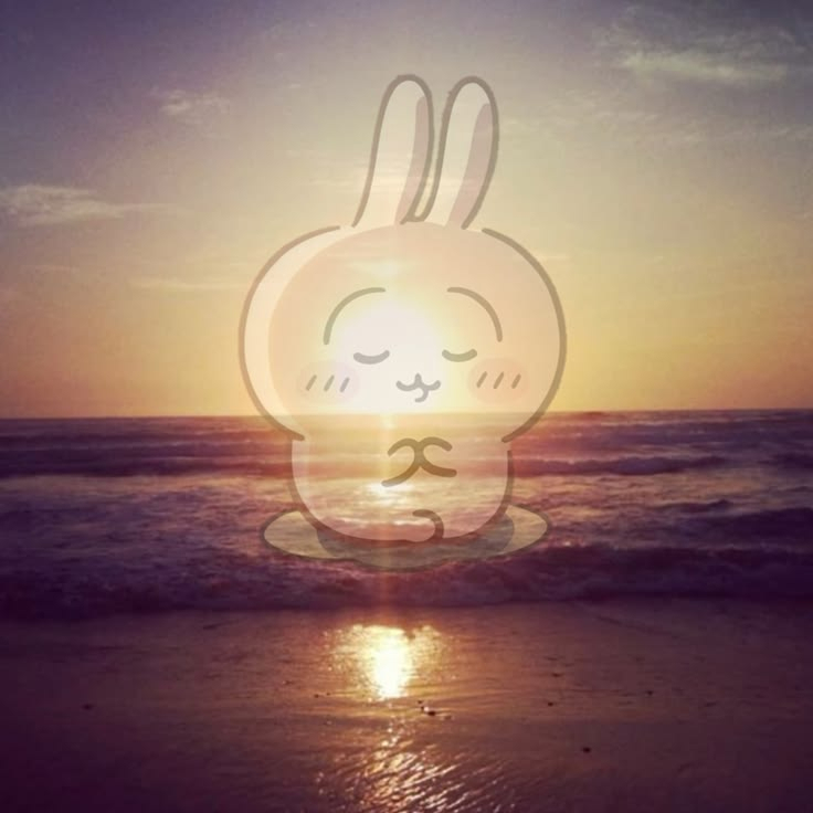 Momonga meditating at sunset