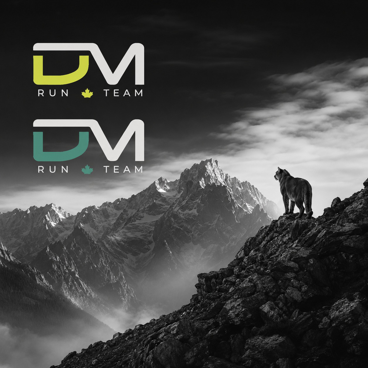 DM Run Team branding over a mountain landscape