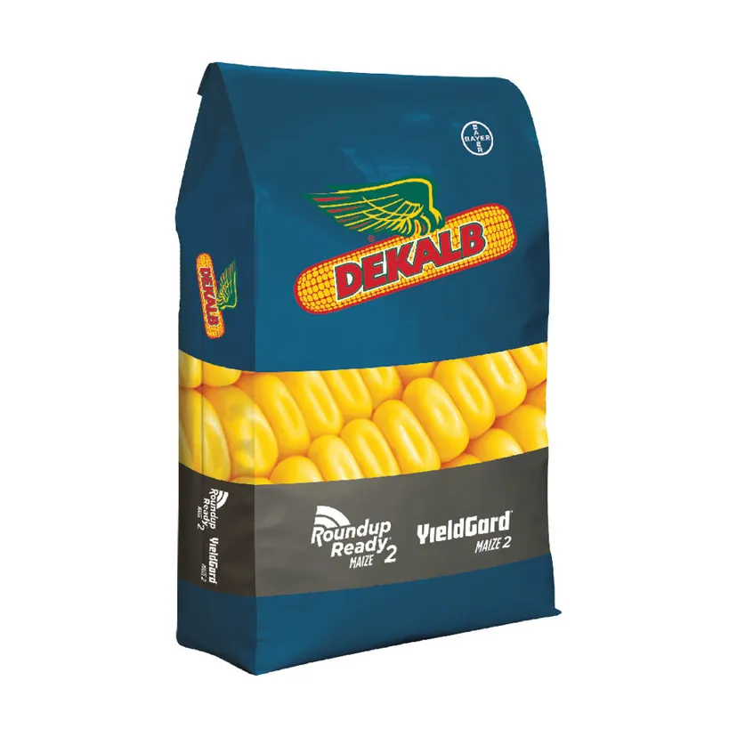 DKC 80-40 Maize Seed 25kg