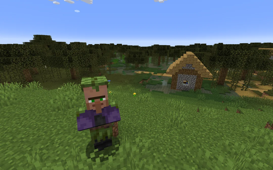 Swamp village in Minecraft seed -9116649350497306346