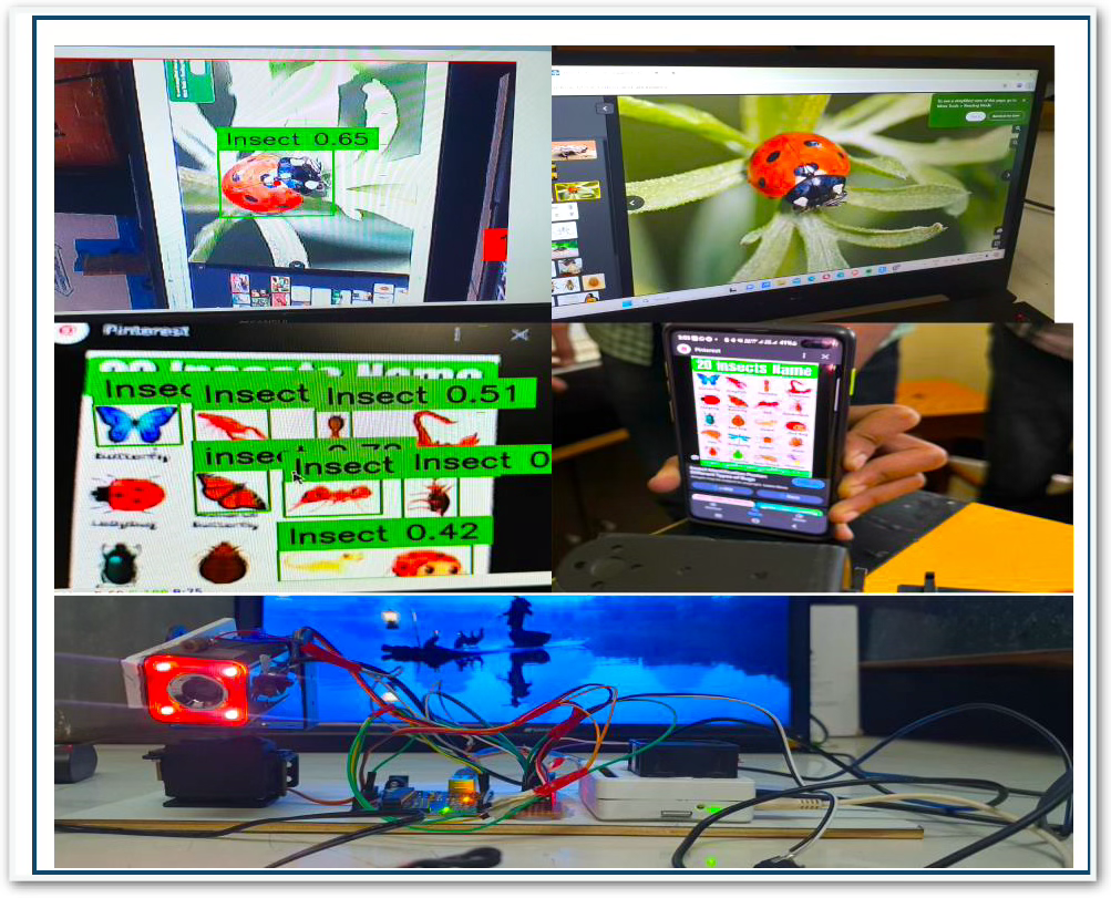 Insect Detection AI