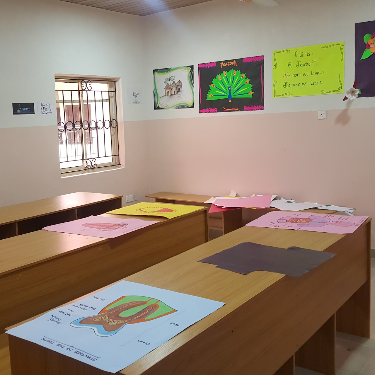 Classroom desks displaying student artwork with a peacock wall project
