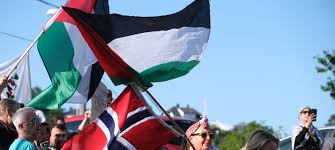 Palestinske og norske flagg vaier sammen
