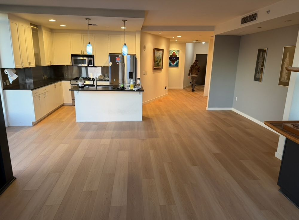 Modern Kitchen & Living Area
