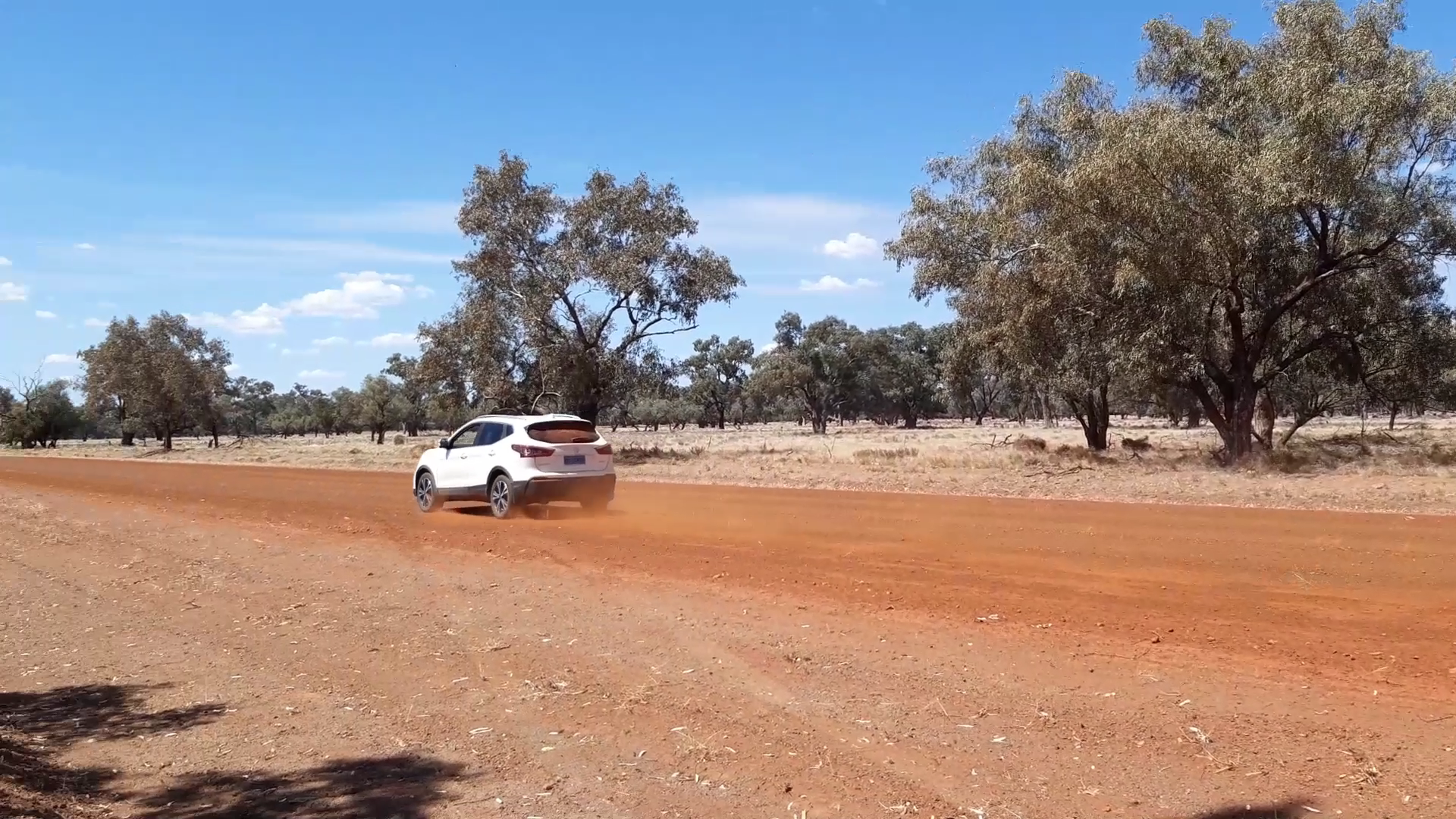 Goats in the Outback