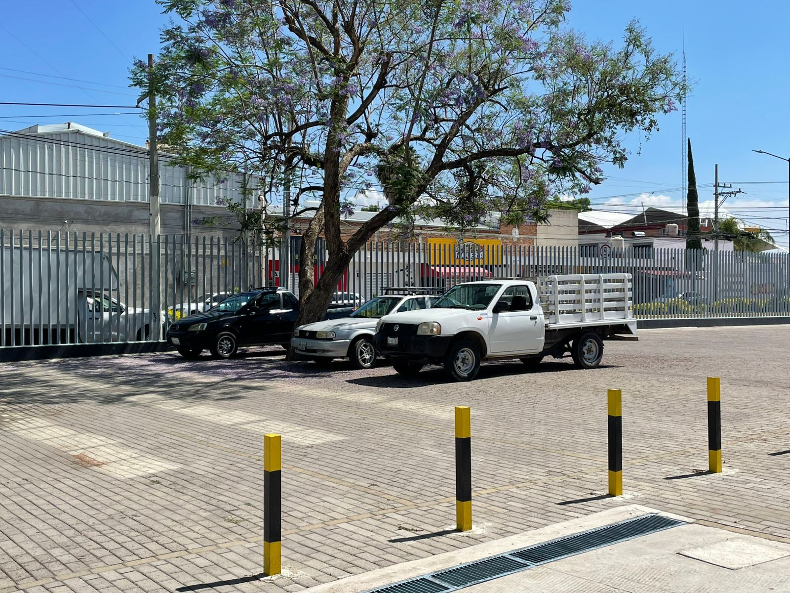 Vehículo de transporte