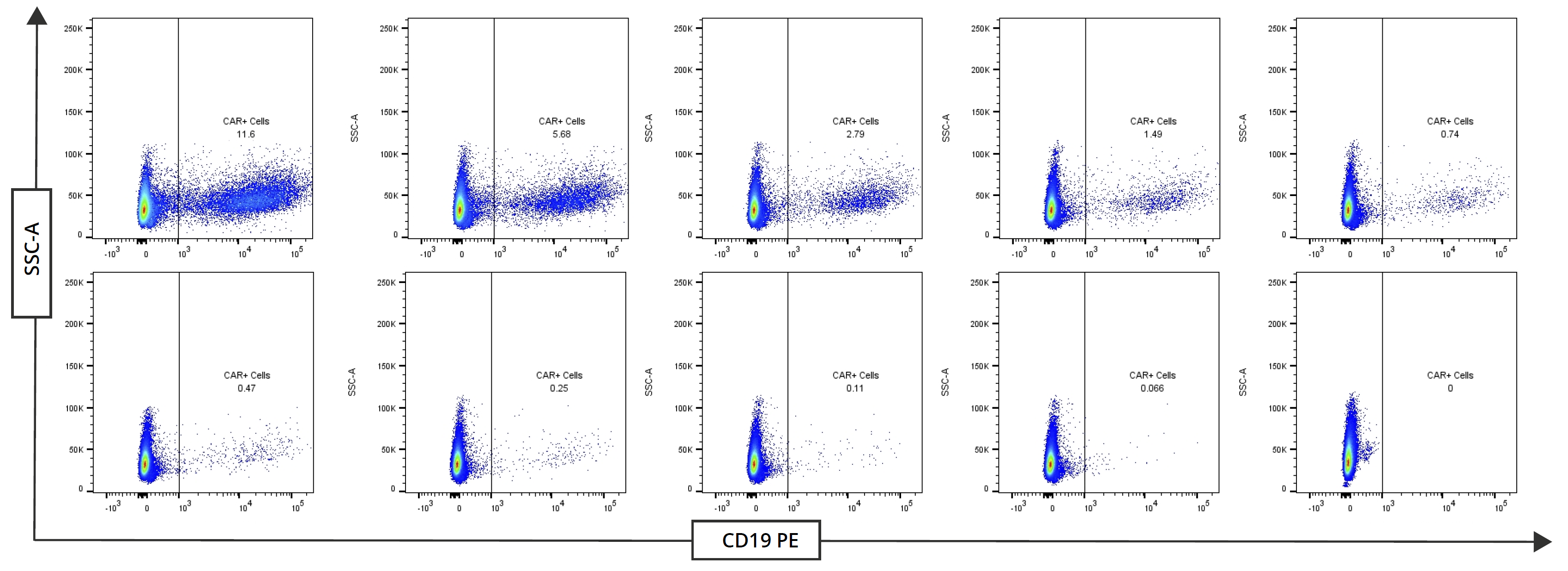 Serial dilution flow cytometry data showing CAR+ cell detection from 11.6% to 0%