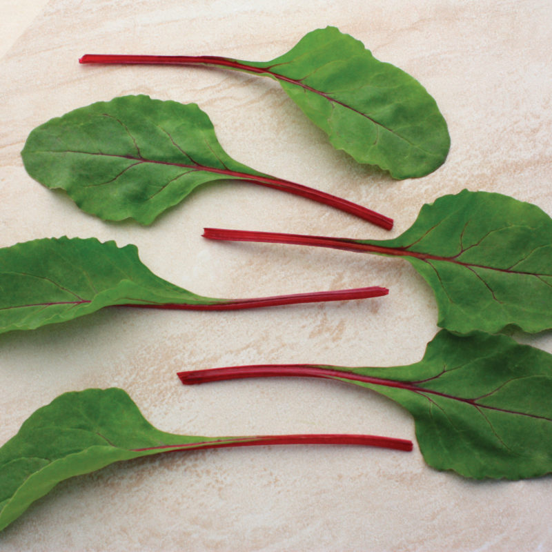 Sakata Swiss Chard Ruby Red