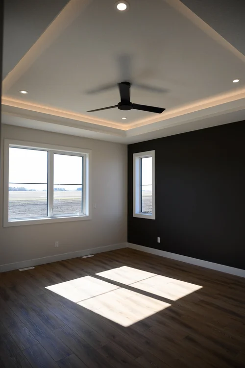 Primary bedroom with tray ceiling