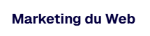 Marketing du Web