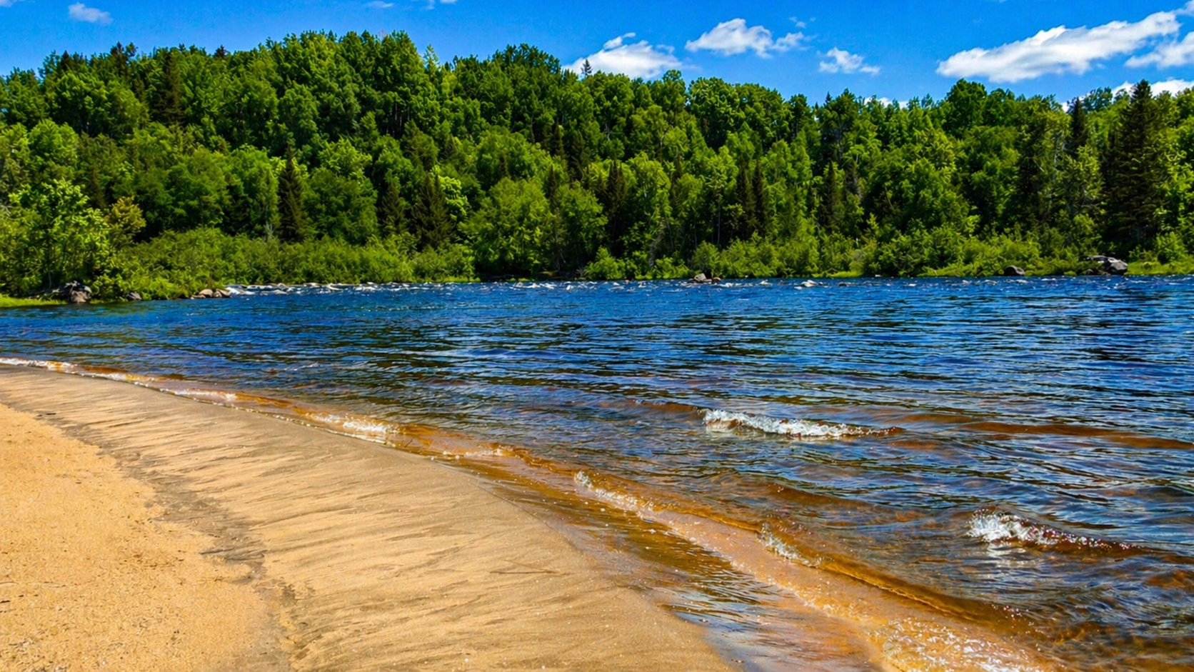 Plage de sable doré avec rivière aux eaux ambrées et forêt boréale