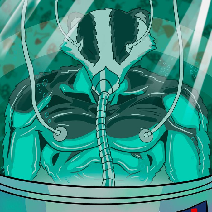 Cyborg badger
