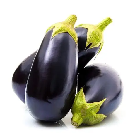 Aubergine