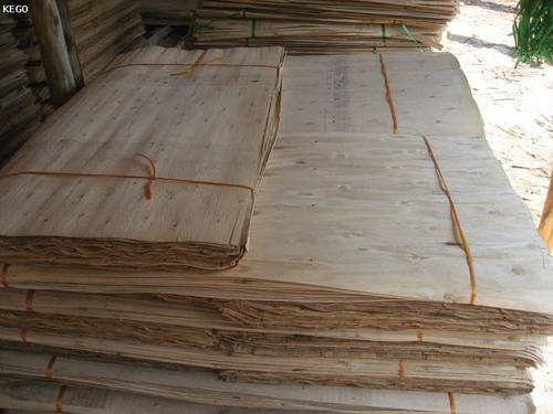 Stacked raw veneer sheets tied in bundles