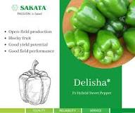 Sakata Green Pepper Delisha F1