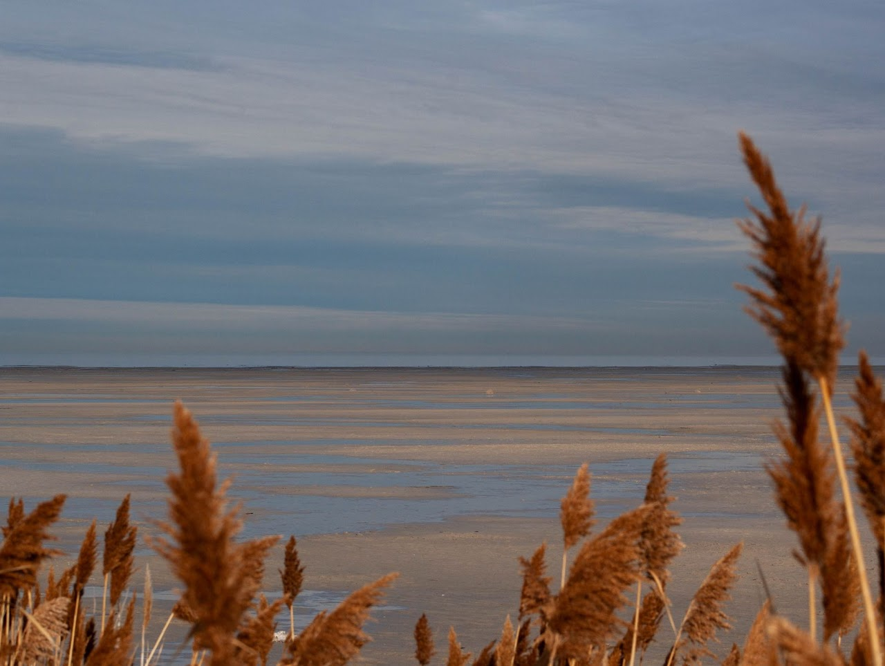 The Great Salt Lake Project
