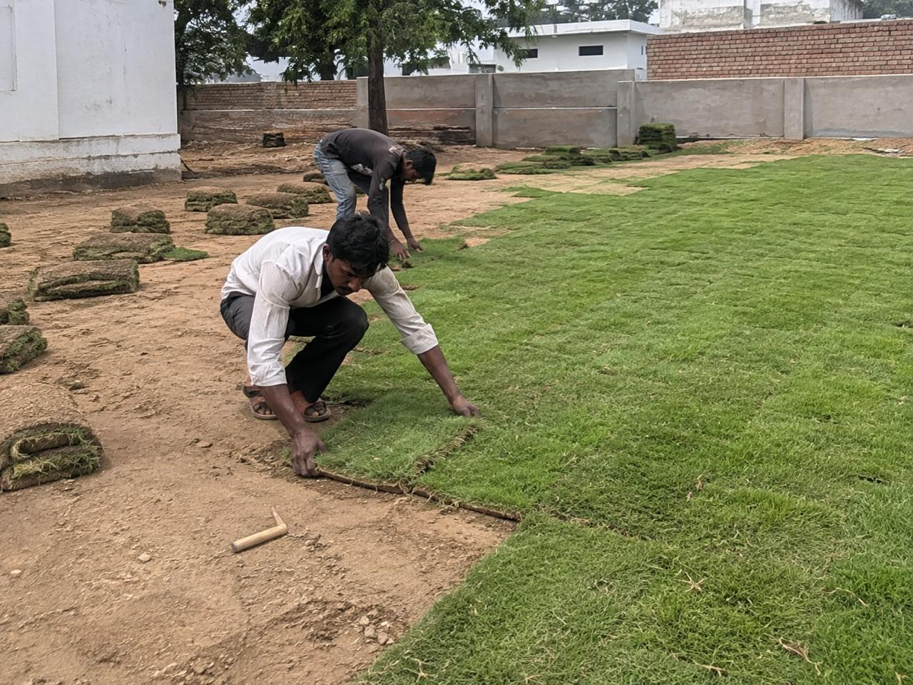 Delivered across North India