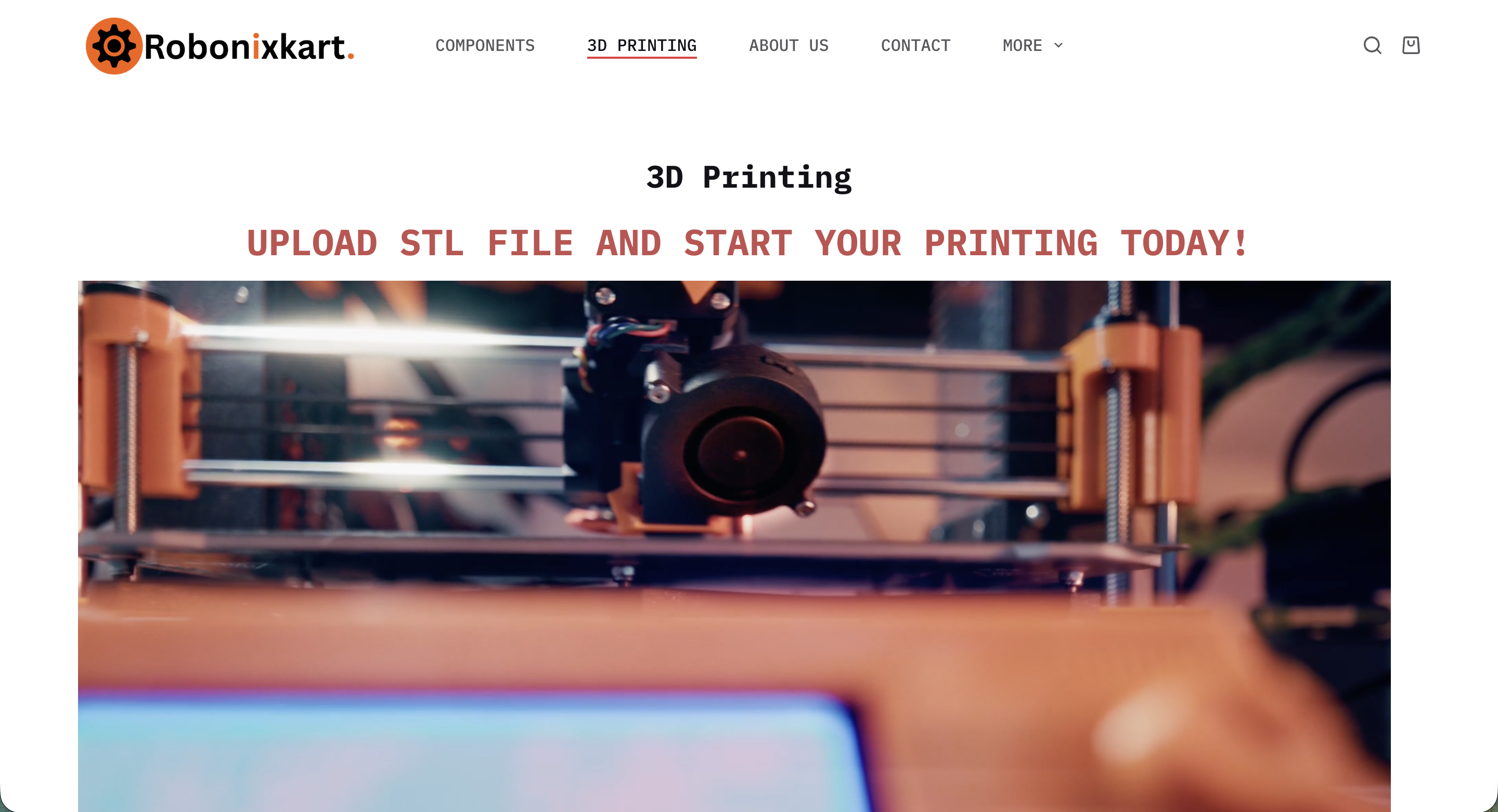 3D Printer