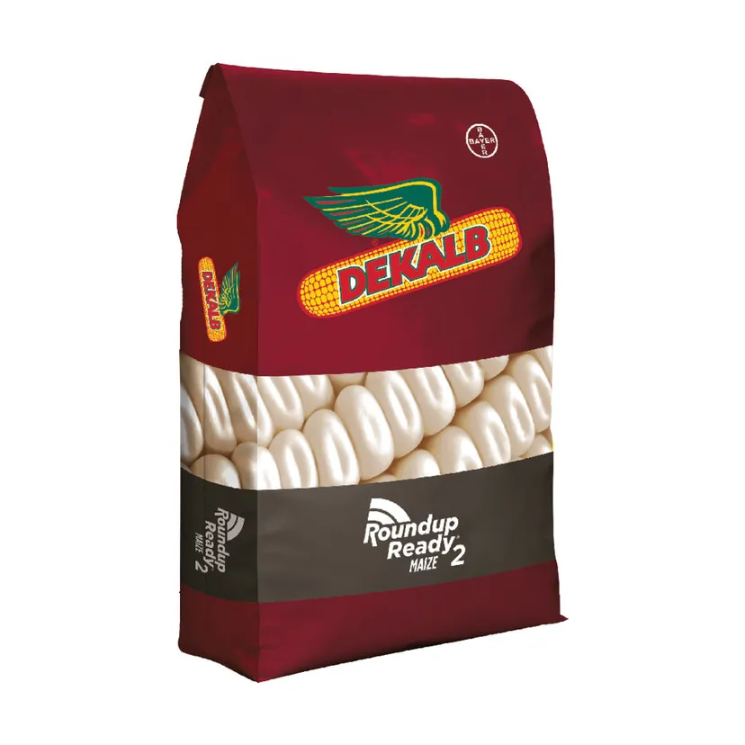 DKC 76-73R Maize Seed 25kg