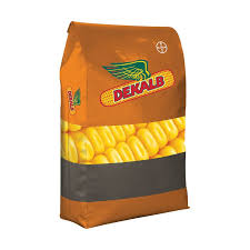 DKC 73-72 Maize Seed 25kg