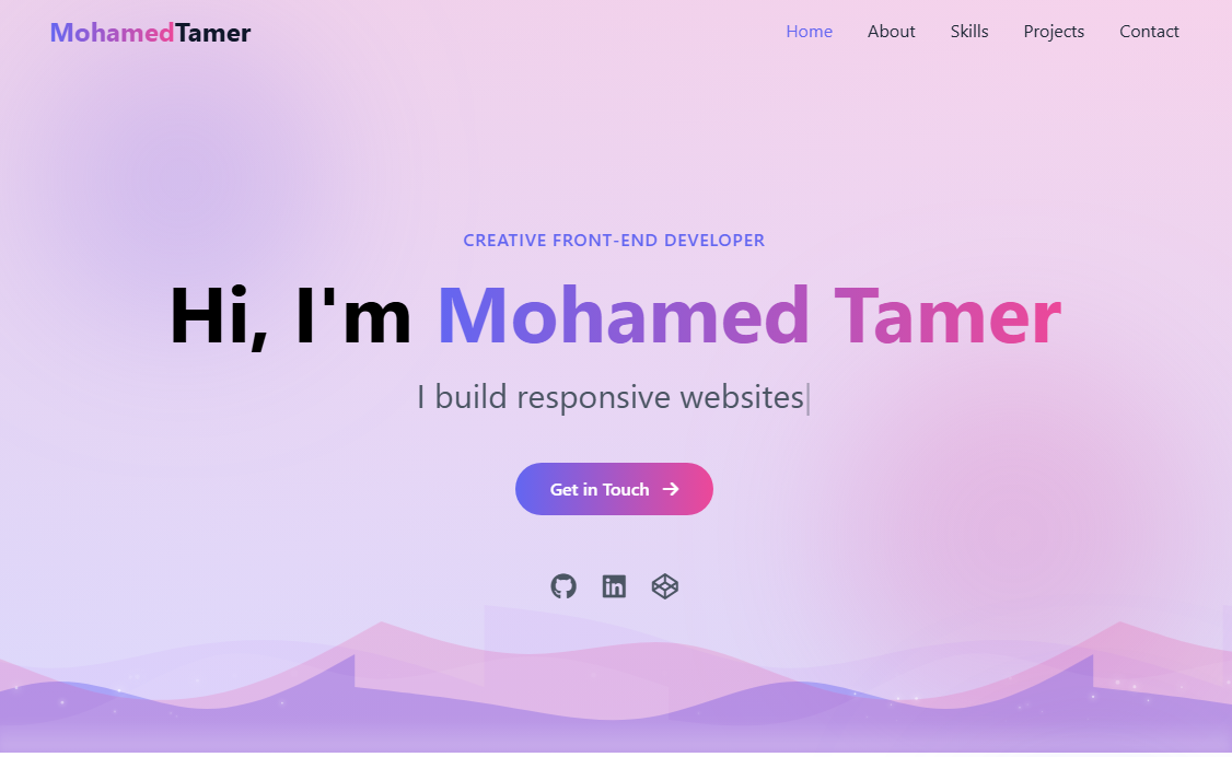 Mohamed Tamer Personal Website