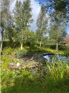 Brigit’s Garden event: Nature Mindfulness photograph 2