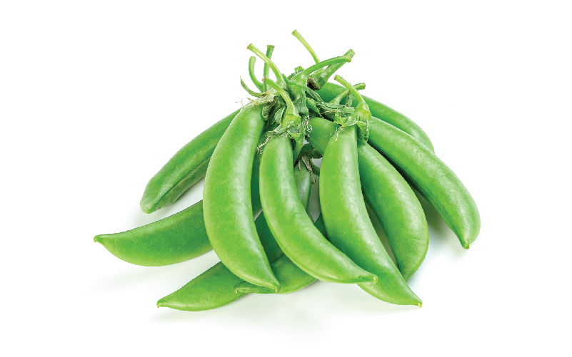 Sakata Sugar Snap Pea