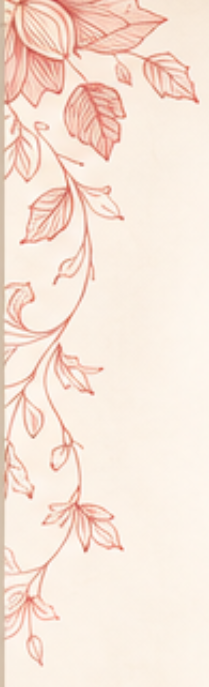Decorative floral line art