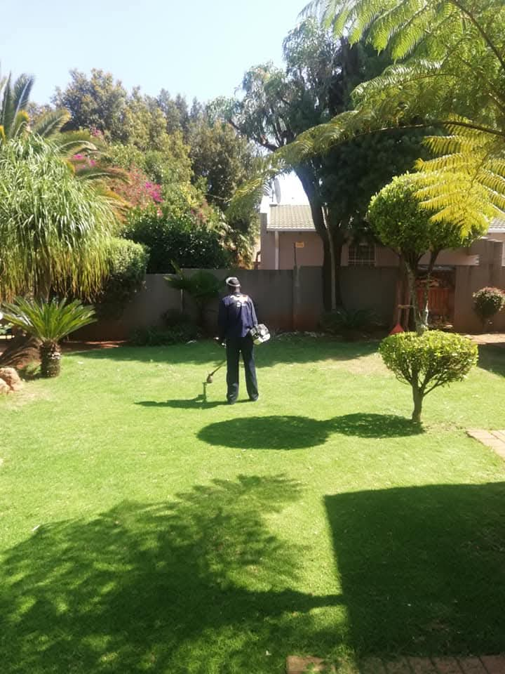 Professional lawn care and garden trimming at residential property