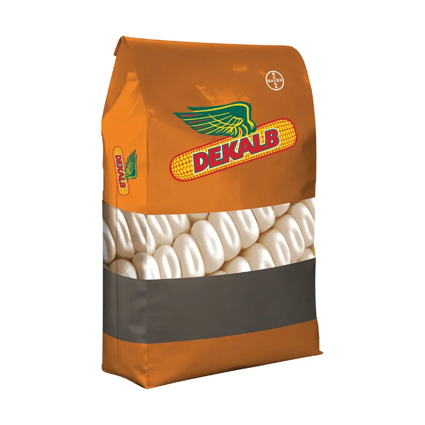 DKC 76-71 Maize Seed 25kg