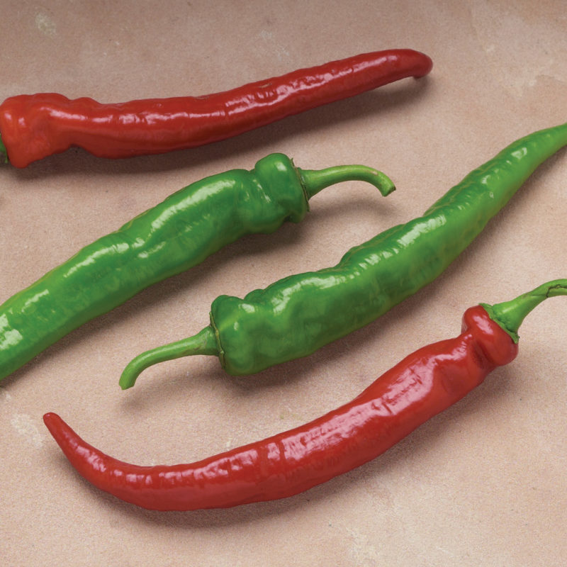 Sakata Hot Pepper Cayenne
