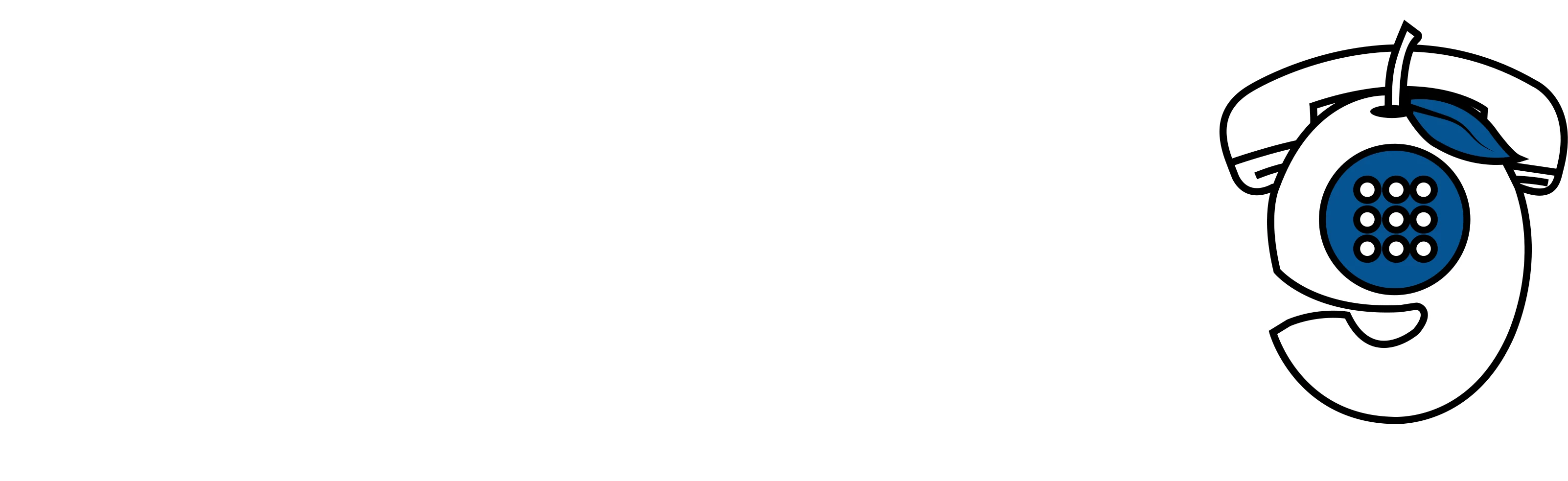 Mango9 Logo