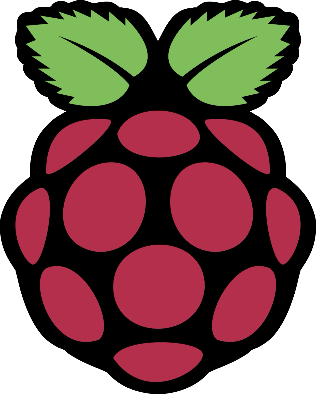 Raspberry Pi