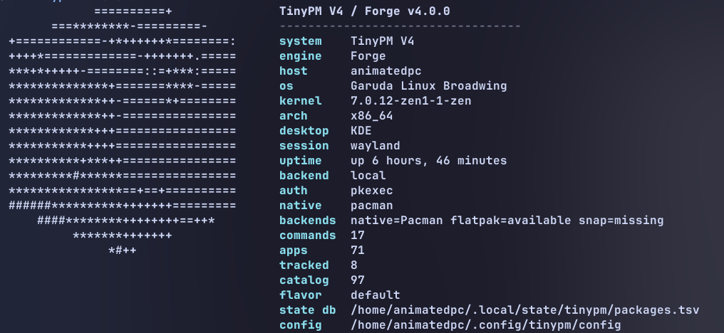 TinyPM V4 fetch output