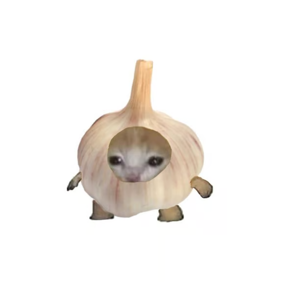 Garlic Cat, a small cat wearing a garlic bulb costume
