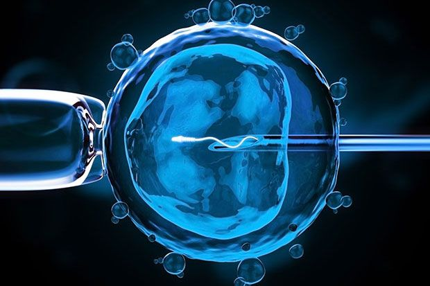 Advanced IVF treatment showing sperm being guided into an egg in a fertility laboratory