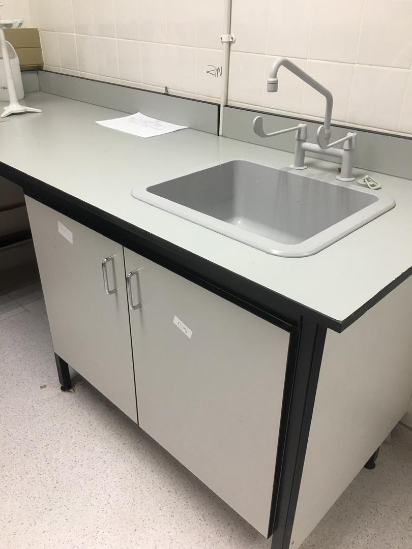 Laboratory sink installation