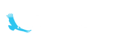 Kondor Blue