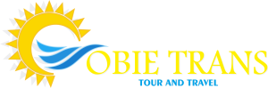 Obie Trans Logo