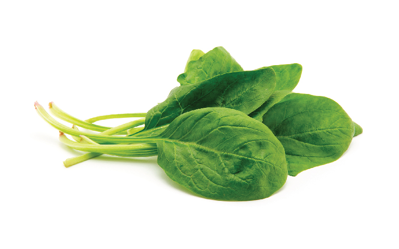 Sakata Spinach Baby Leaf